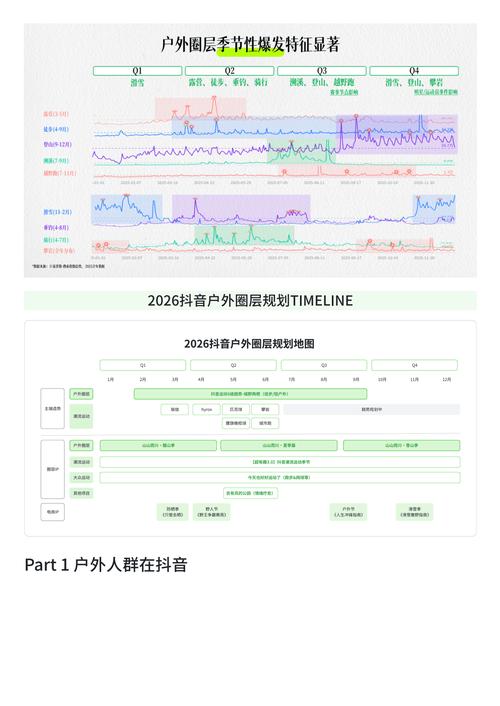 抖音自助平台下单24小时,抖音网站浏览量的软件,从需求分析到系统开发的详细指南