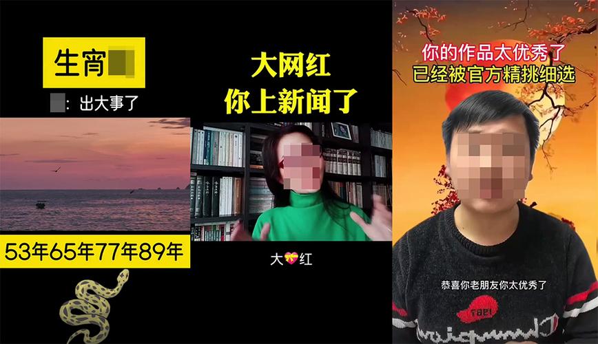 花蝴蝶,抖音平台的代KSS与dy业务的精准对接