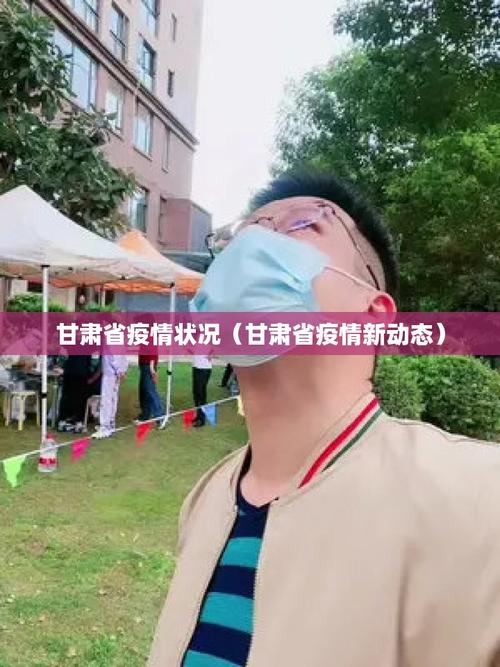 甘肃疫情最新动态，防控措施与公众反应分析