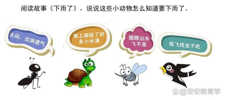 雨点牛,雨中找回你的位置
