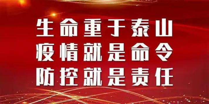 疫情政策调整的全面解读与行动指南