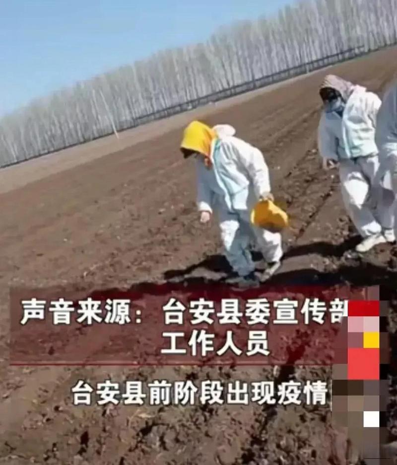 台安当前疫情最新消息，疫情防控的挑战与应对策略