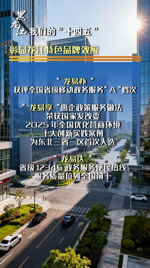 哈尔滨网络优化行业,机遇与挑战
