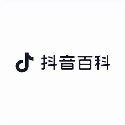 高效优化抖音内容，双击飞速快手赞软件使用指南