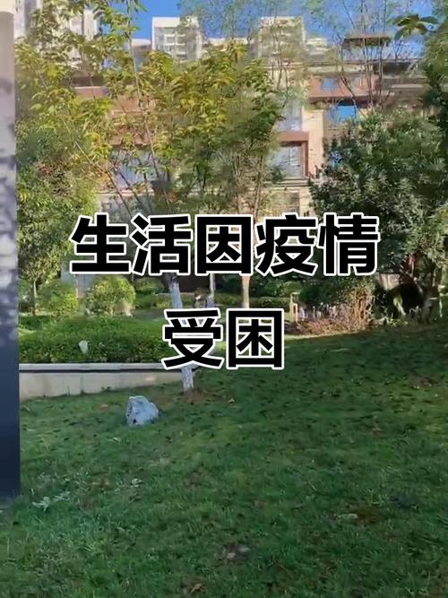 疫情之下,河北居民的困境与希望