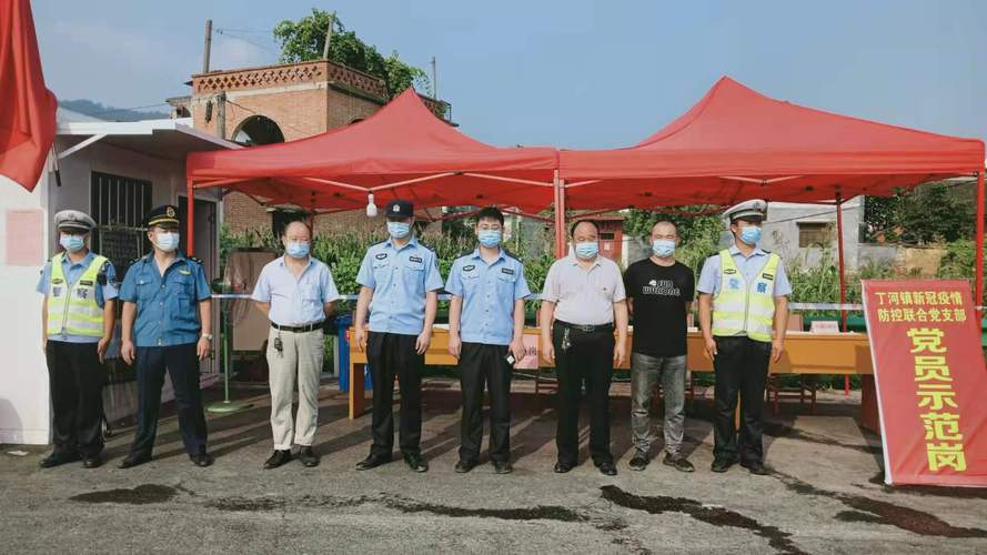 西峡疫情,防控措施与公众反应的双刃剑