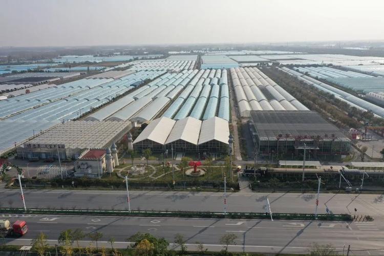 龙山豪庭疫情期间最新消息,保障市民安全与生活恢复