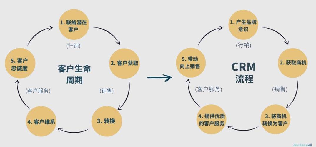 网络营销指南，从规划到执行的全生命周期管理