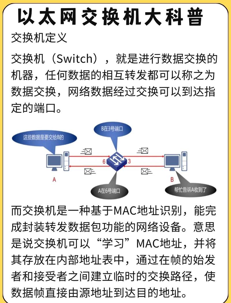 什么是单位网络连接域名？背后的故事与实际操作