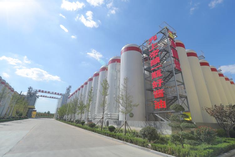 烟台旗舰网络公司,扶持您成为行业的标杆