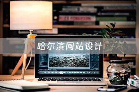 哈尔滨精致网站建设指南