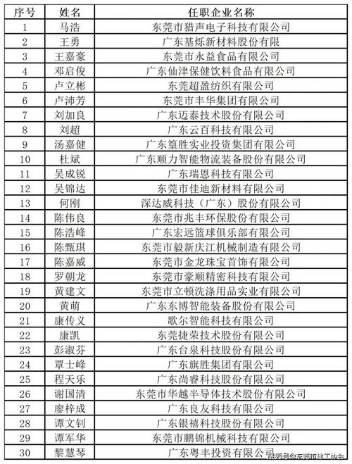 东莞网站建设报价指南