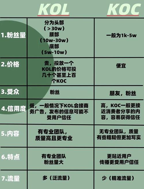 如何高效利用抖音和KOL业务,打造你的百万级品牌影响力