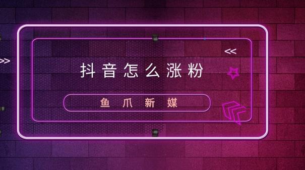 如何轻松赚取抖音粉丝,最便宜刷抖音粉丝代刷网指南