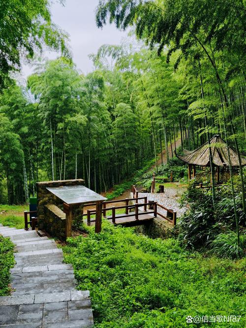 全面开启广德建设之旅