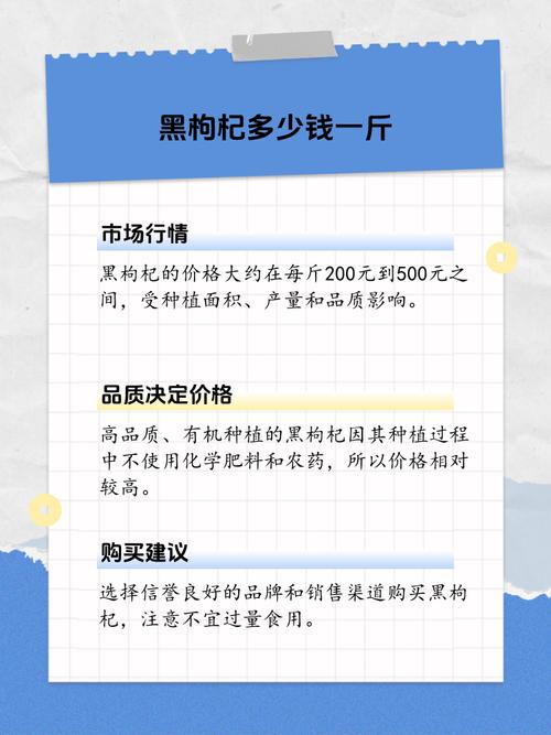 长沙网络外包价格指南，助力企业降低成本