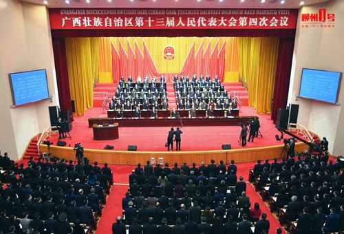 柳州网络公司的崛起,从技术到市场的全面解决方案