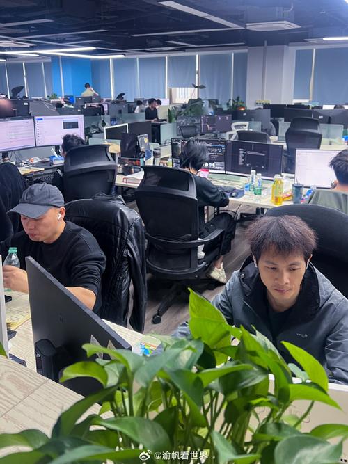 重庆灵活网络有限公司,技术与生活的完美结合