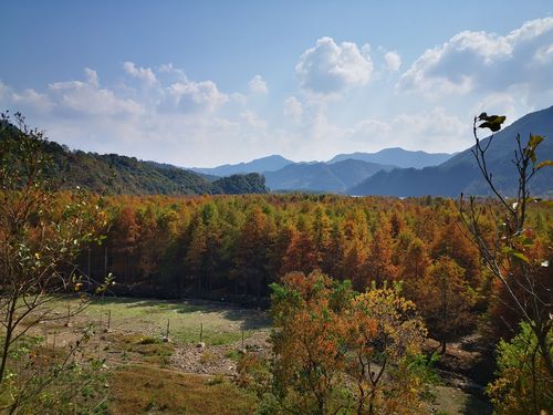宣城川藏线疫情最新消息,物资运输与公众健康管理新考量