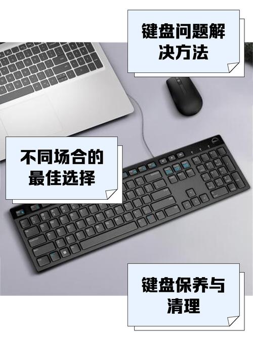 键盘指法练习指南 戴尔笔记本电脑拆机