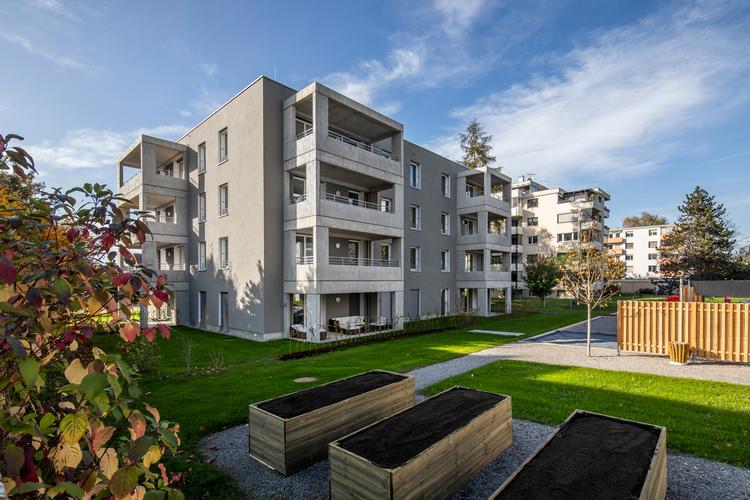 江门 sister website construction