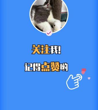 快手点赞评论秒刷,让你的内容一 hits everywhere!