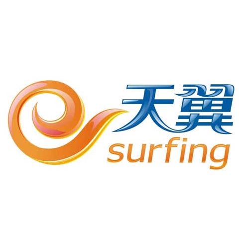 刺猬网络公司,让技术更简单