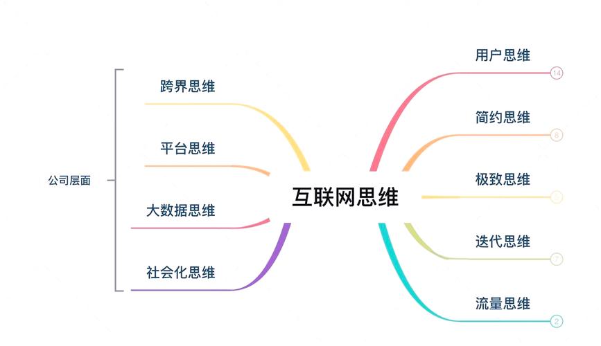 构建高效网络生态系统，从基础到未来