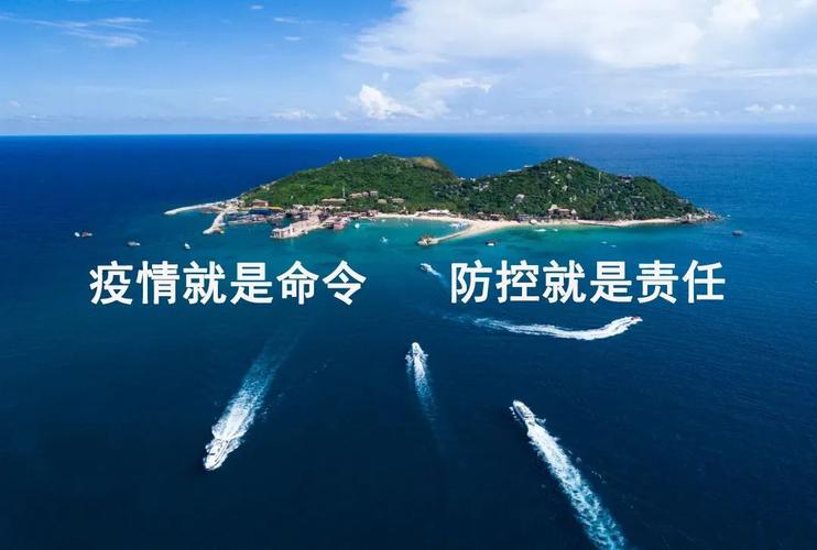 沙河地图新冠疫情最新消息,疫情防控指南与实用建议
