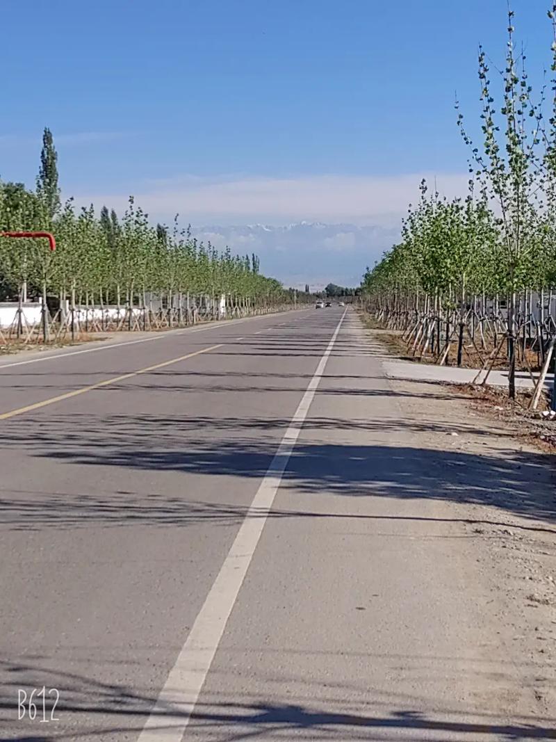 伊犁地区疫情最新动态,疫情与经济、民生的双重影响