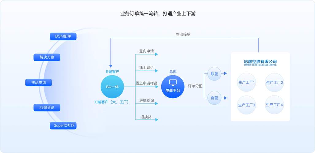 B2C网络,探索其结构与潜力