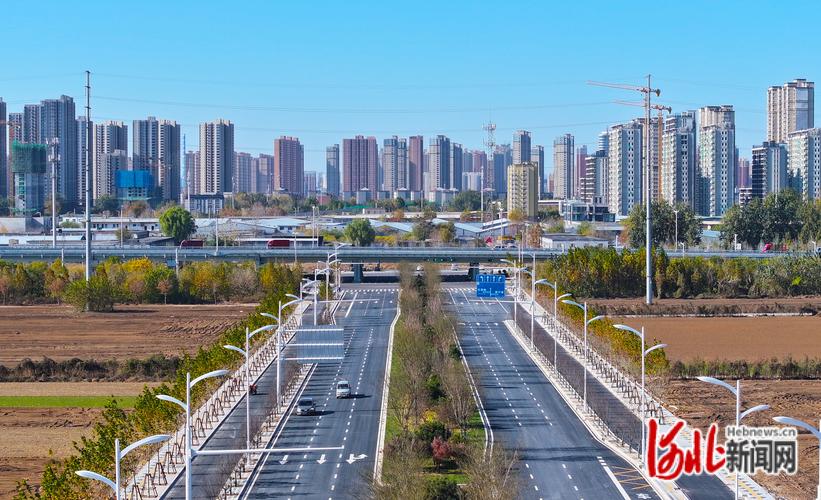 数字时代下的城市机遇,石家庄网站建设工程中的创新与发展