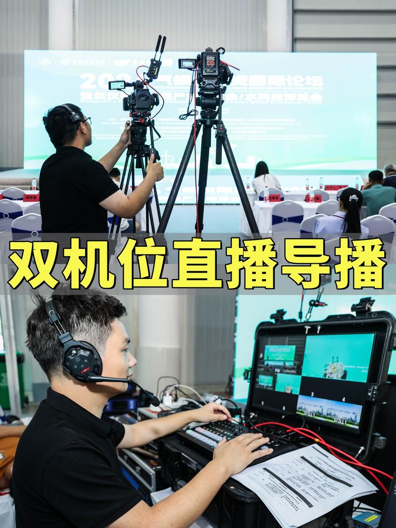 短视频播放机与真人业务直播，从专业到直播技巧的全面指南