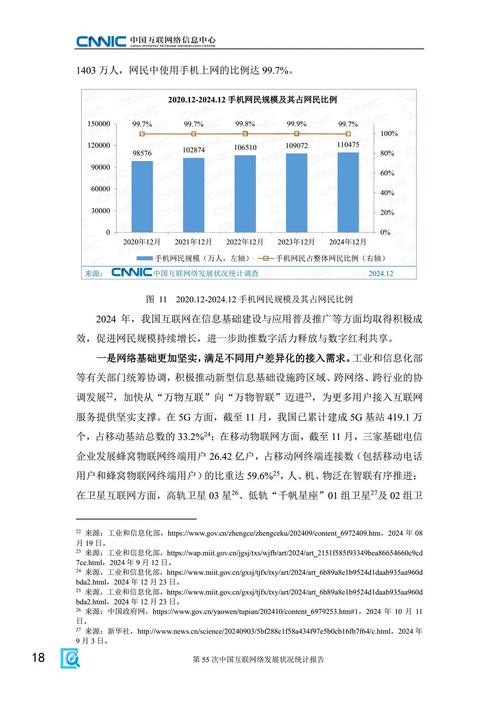 容县网络发展现状与挑战分析