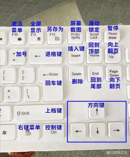 电脑上截图按哪个键