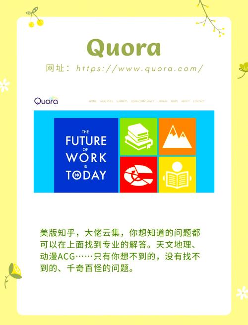 英语外贸网站的SEO优化指南