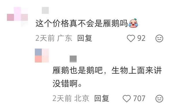小红书24小时自助业务平台,如何快速获取评论与粉丝互动?