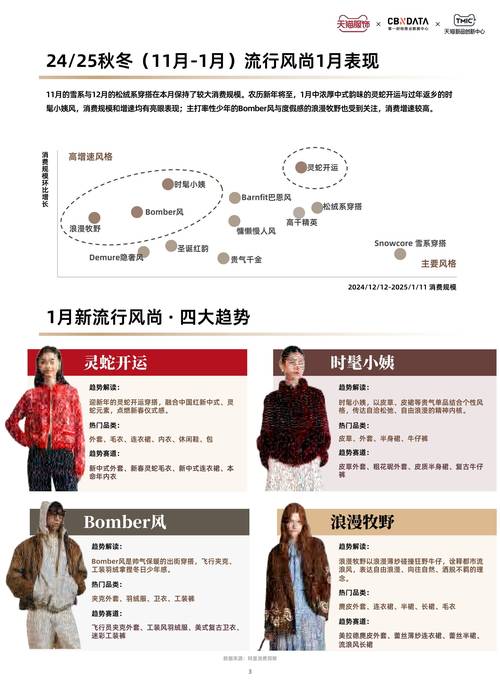 服装网站,品牌推广的数字化机遇