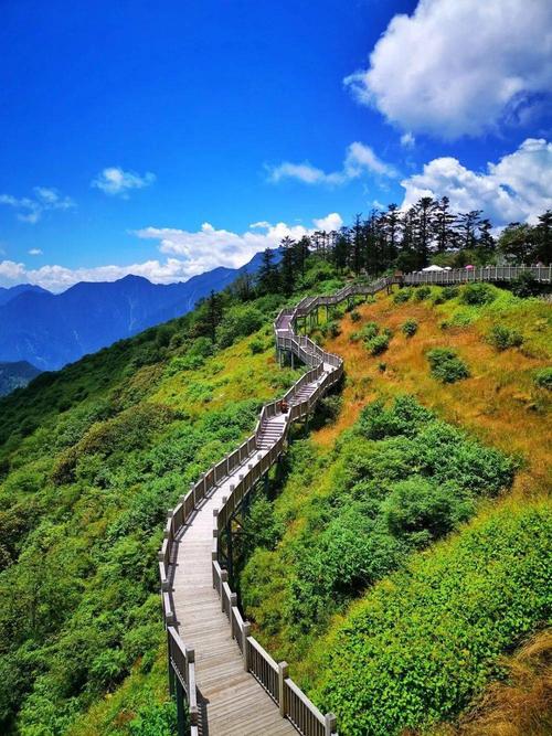 云梦网络,成为你的理想栖息地!