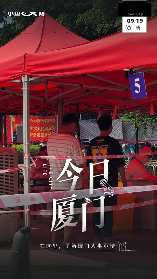 思明莲坂疫情最新,你是否已知真相?