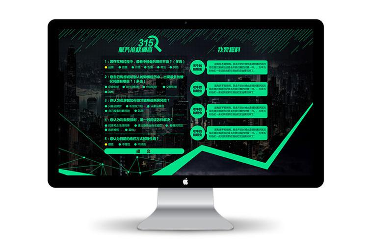 3.15网站建设指南与实践