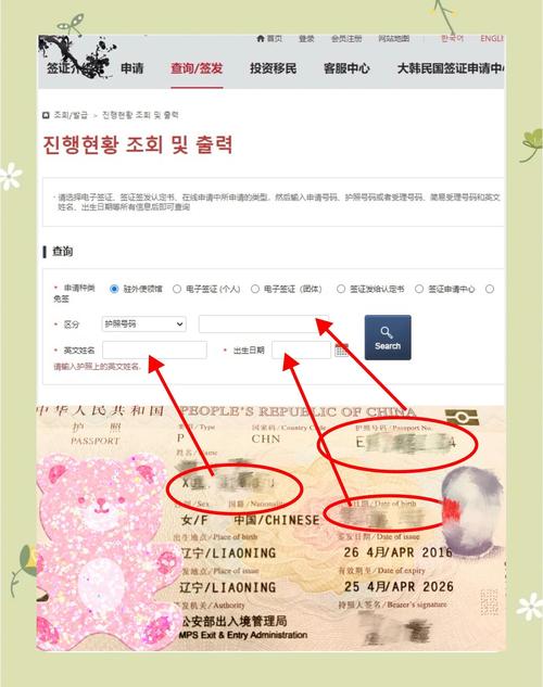 如何选择一家专业的签证网站？