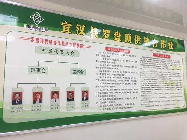 宣汉网站建设指南