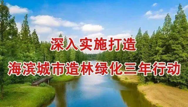资讯惠来的网络号码全解析,让你的联系更高效