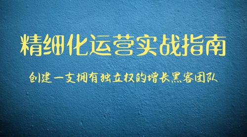 佛山智唯建站,专业团队助力精准增长