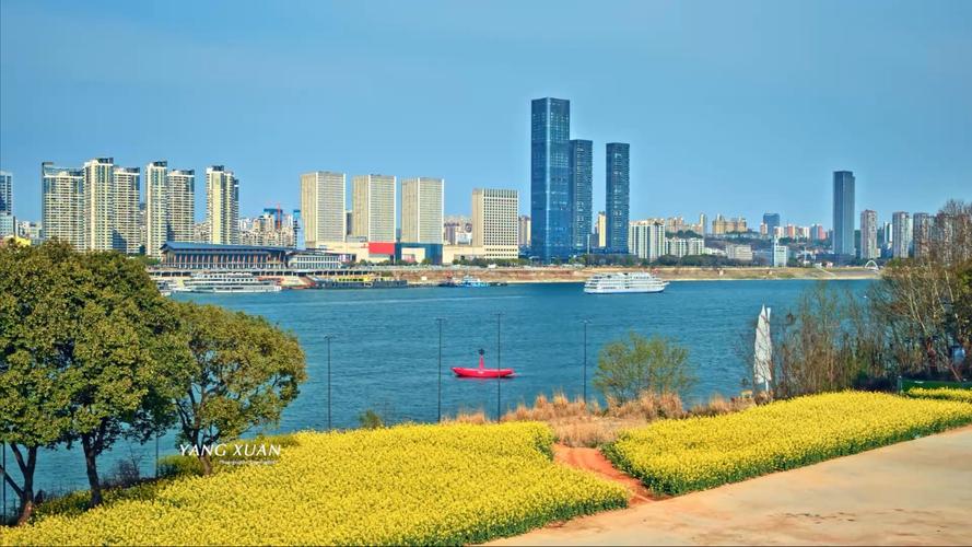 站在城市之巅,看宜昌的营销之花绽放