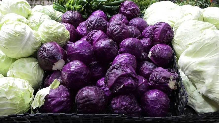 鹤庆疫情肉价最新消息,供应紧张引发市场波动