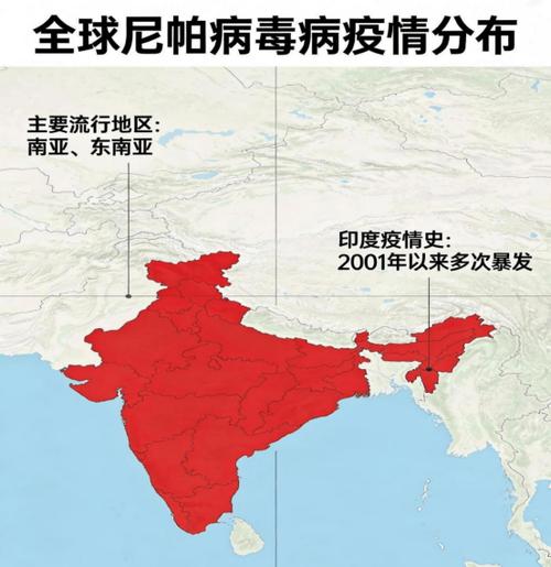 墨西哥医院疫情最新消息，全球最佳应对指南