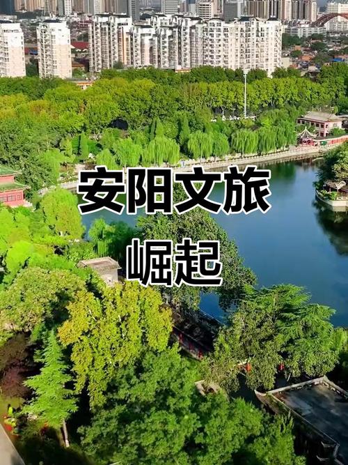 一、安阳网站建设的背景