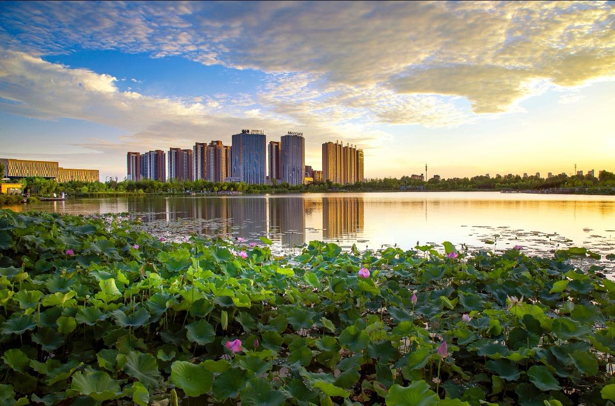 一、安阳网站建设的背景